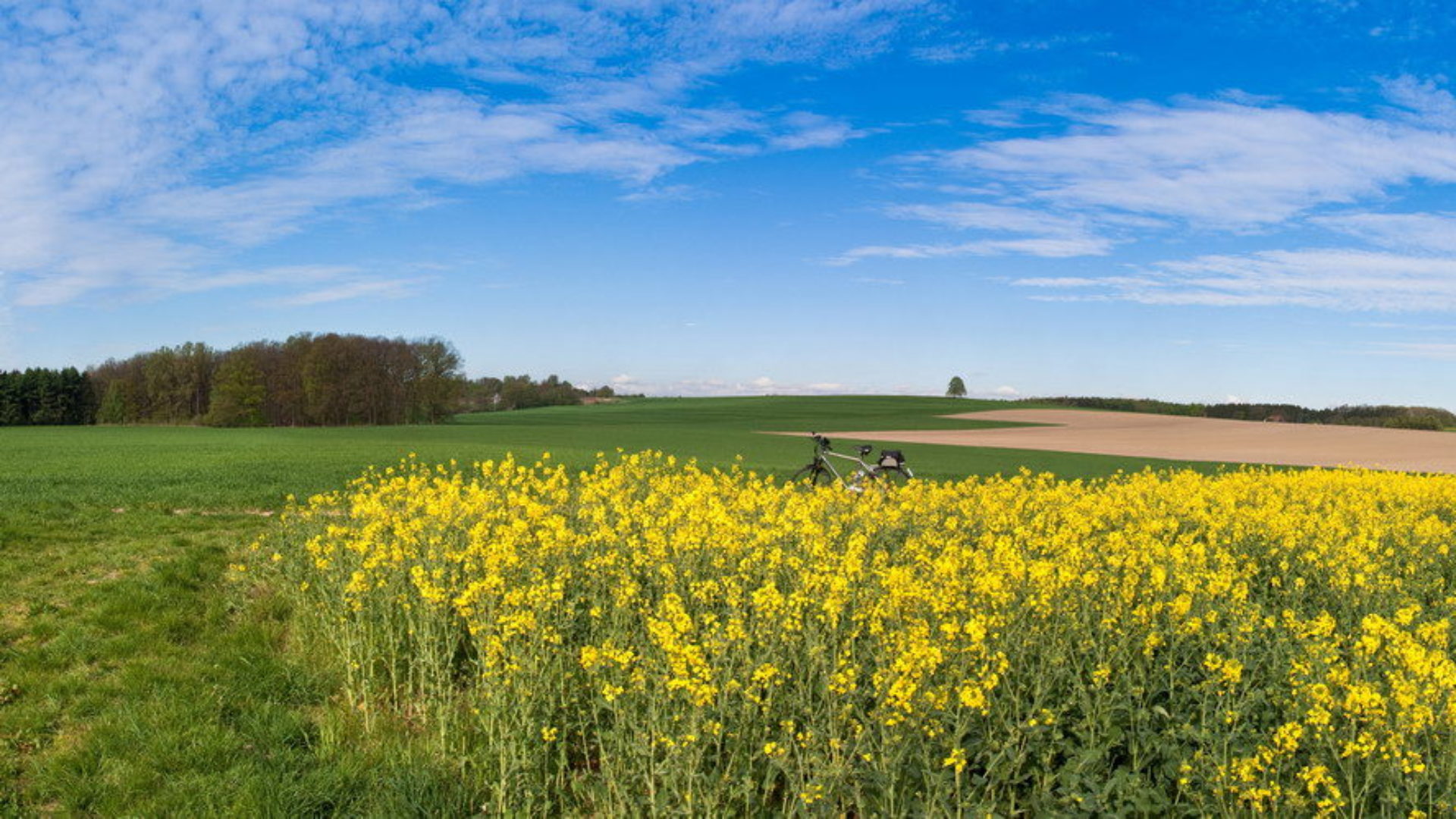Großenmarpe
